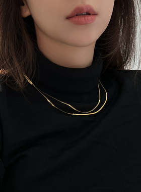 细金银双层项链蛇骨链女高级感小众设计潮锁骨链ins风时尚博主
