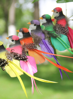 小鸟羽毛手工彩色园艺树枝捆绑