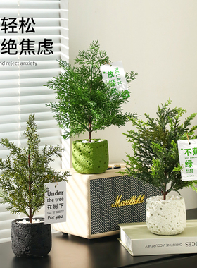 植柏树松树盆栽摆件场景装饰品