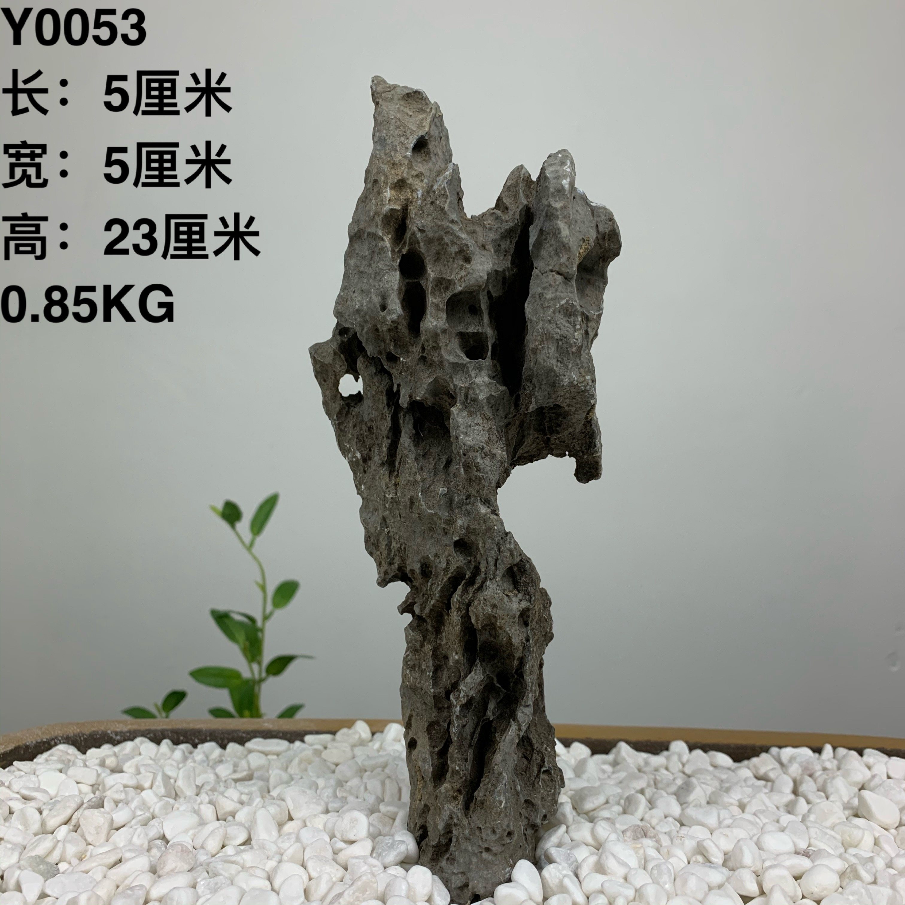 青龙石是什么石头,青石跟青龙石一样吗,青龙石是不是青石(第12页)_大山谷图库