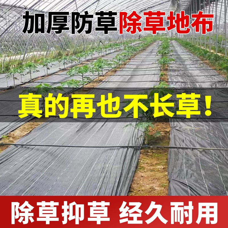 抗老化防草布除草布农用加厚园艺地布果园果树遮草盖草布地膜地钉 - 图2