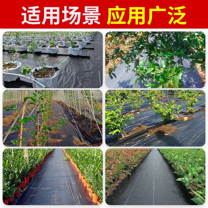 抗老化防草布除草布农用加厚园艺地布果园果树遮草盖草布地膜地钉 - 图3