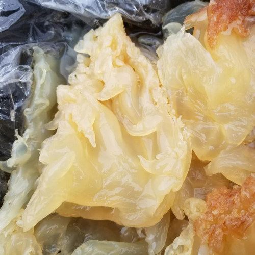 海蜇头新鲜3斤桶装海蜇丝皮威海荣成特产非即食水产凉拌菜商用 - 图2