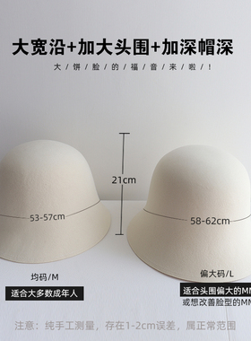 网红秋冬季优雅风多色入毛呢帽