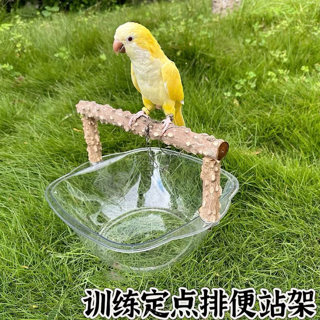 图4