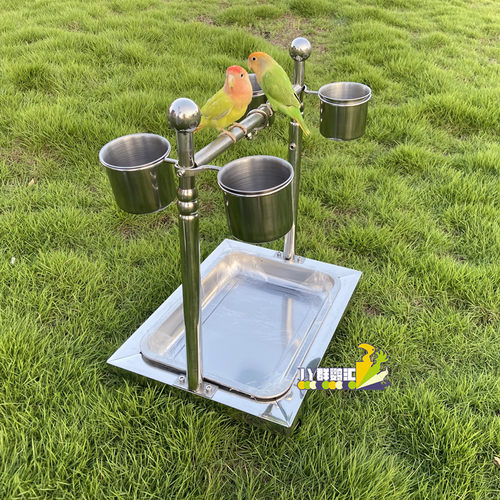 鹦鹉不锈钢站架 中小型鹦鹉站架 牡丹虎皮鸟架八哥玄凤小菲栖息架 - 图0