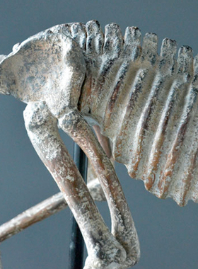 树脂恐龙书房橱窗软装饰动物骨骼