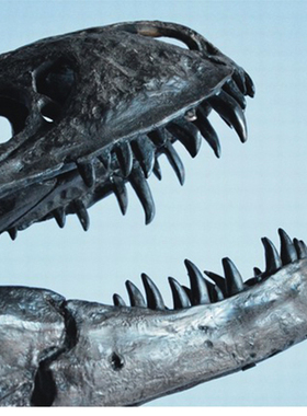 仿真恐龙橱窗摄影道具创意摆件