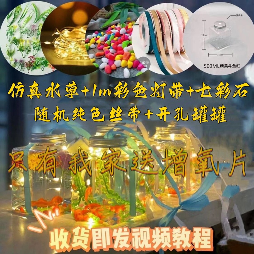 网红罐罐鱼泡泡鱼发光鱼方形罐生态微景水草鱼缸摆摊神器夜市爆款-图2