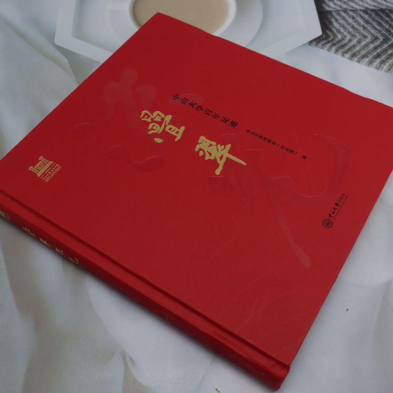 【新华正版】叠翠流光(中山大学百年足迹)(精) 中山大学博物馆(校史馆) 中山大学 - 图0