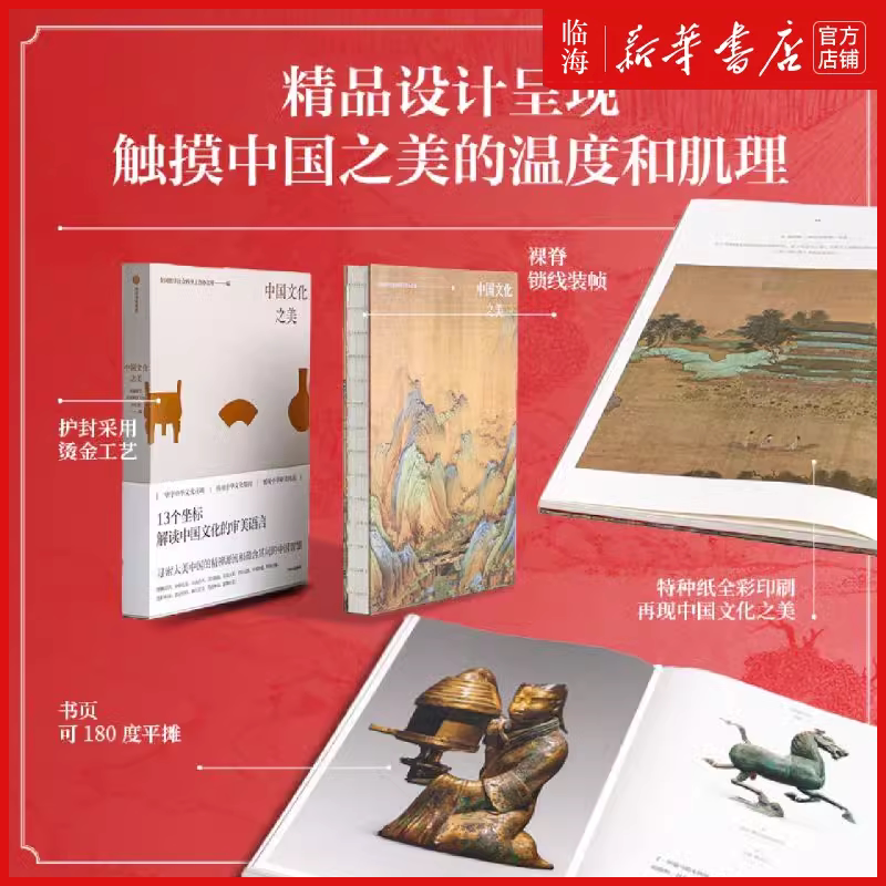 【新华正版】中国文化之美 全国文化名家写给大家的中国之美通识读本 正版包邮 国学礼仪诗词美术书法故宫敦煌服饰建筑戏曲