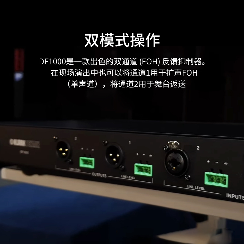 Klark Teknik DF1000全自动双通道立体声反馈抑制器处理器防啸叫-图2