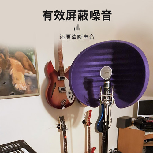 ASTON/阿斯顿 HALO 录音声学罩便携专业吸声罩隔音降噪高端录音棚 - 图2
