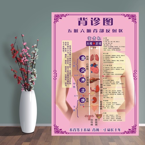 定制背诊图美容院中医养生馆宣传贴画五脏六腑背部反射区自粘海报 - 图1