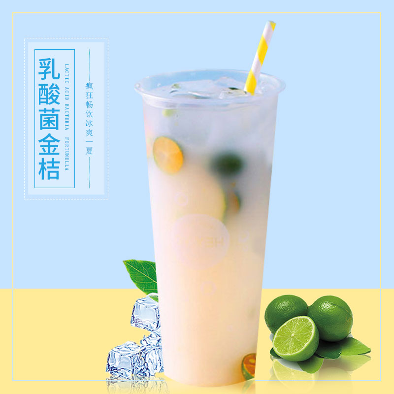 可瑞玛乳酸多多益菌多优格乳浓缩酸奶乳酸菌饮品优酪多奶茶店专用 - 图2