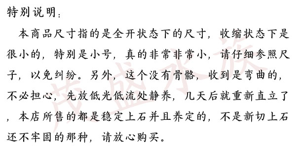 圣诞树珊瑚好养繁殖快新手软体lps绿意粉手指活体日本荧光绿麦穗-图3