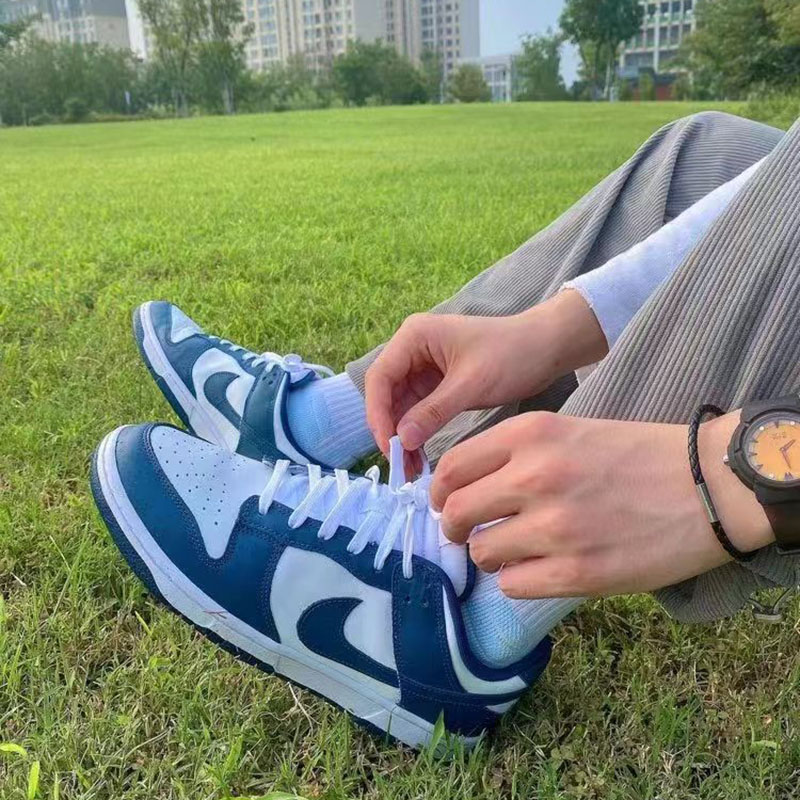 Nike耐克 DUNK LOW男子低帮经典百搭轻便运动休闲板鞋DD1391-602 - 图2