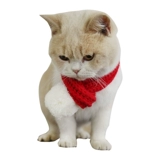 Шерстяной удерживающий тепло шарф, демисезонный пуховик