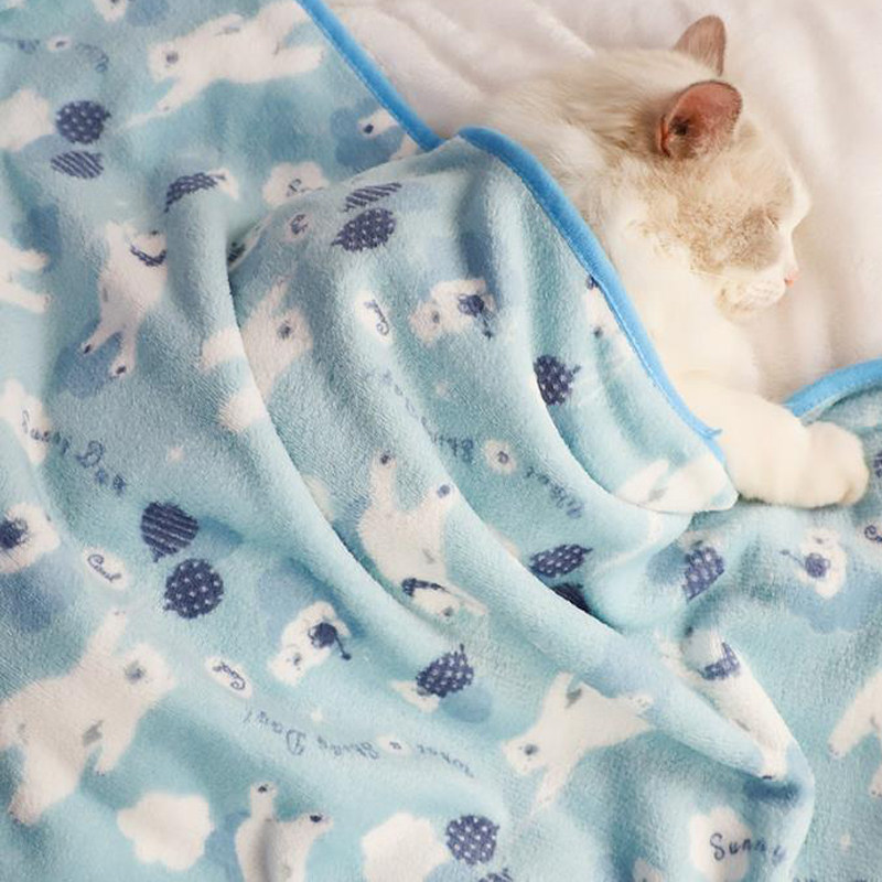 柯基四季睡觉空调被用小被子 宠物猫咪毛毯夏珊瑚绒小宠法斗毯子,淘宝优惠券,粉丝福利购,淘宝优惠卷