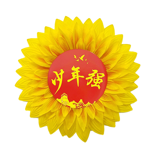 少年强向日葵舞蹈手拿花运动会入场创意道具幼儿童合唱手持太阳花