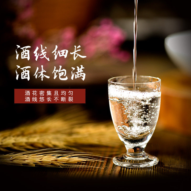 中华老字号 花园 40度浓香型白酒 480mL*2瓶装 天猫优惠券折后￥19.8包邮（￥29.8-10）