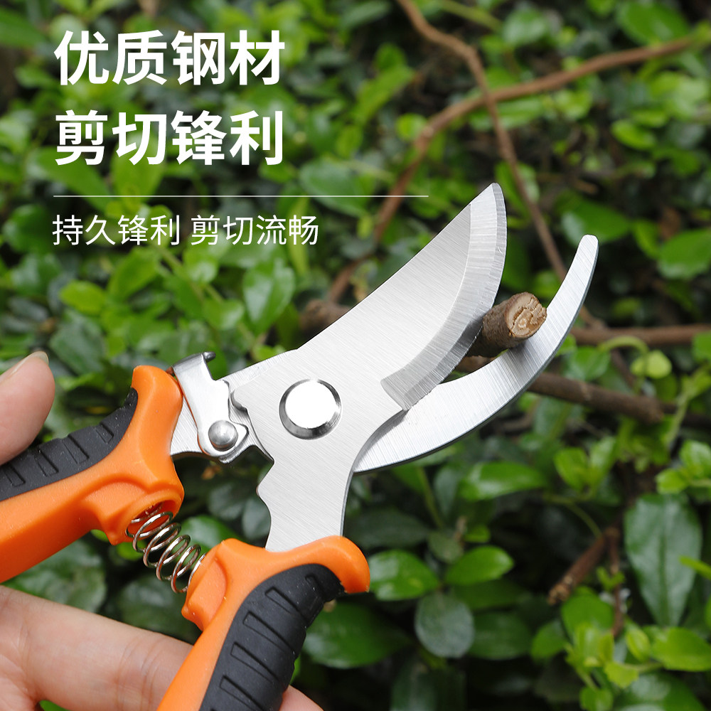 园艺剪刀修枝剪果树不锈钢花卉树枝专用修剪剪刀竹签修剪树枝剪刀,淘宝优惠券,粉丝福利购,淘宝优惠卷