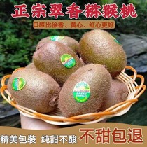 Shaanxi Week to Cuixiang Xu Xiangqi Exotic Fruits Green Heart Macaque Exotic Fruits Fresh Fruit Pure Sweet When Should Season The Whole Box