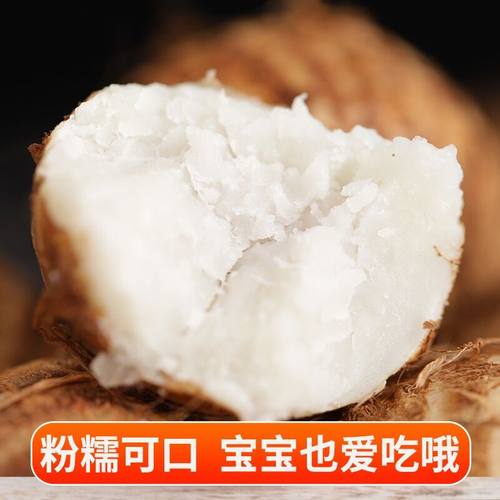 山东芋头新鲜牛奶小芋头农家现挖芋艿毛芋仔芋子软滑糯非荔蒲香芋 - 图2