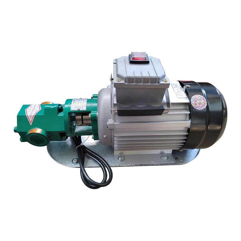 便携式齿轮油泵小型电动抽油泵柴油机油自吸齿轮泵小型不锈钢泵 - 图3