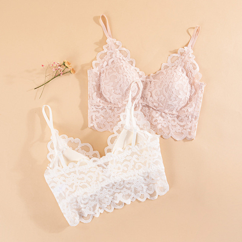 背心式大胸显小无钢圈蕾丝美背文胸 若西之恋文胸