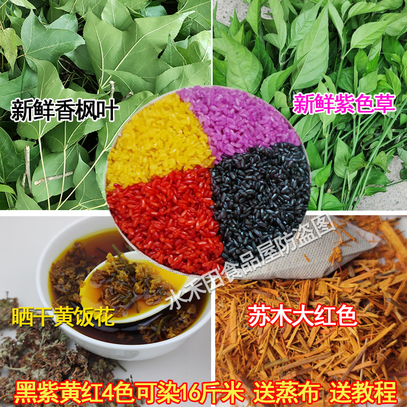 新鲜枫叶黑米饭材料广西五色糯米饭植物染料黑色枫树叶子香枫叶 - 图1