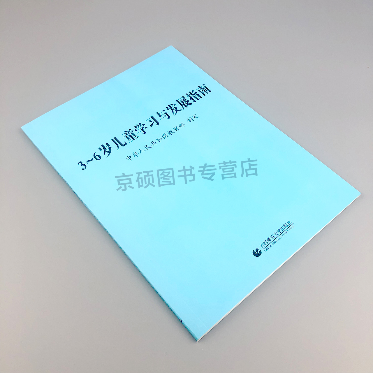 【现货速发】3-6岁儿童学习与发展指南3到6岁儿童学习与发展指南3到6岁儿童家长学习读本用书首都师范大学出版社 - 图0