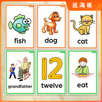 New Concept English Youth Edition Entry Level ab Words Big Cards Over Plastic Packaging Teaching Aids Elementary School Students Learn Flashcards