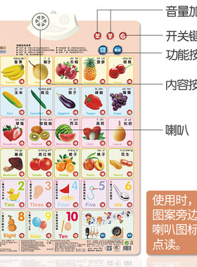 语音2岁适用儿童玩具有声挂图