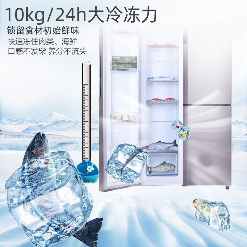 electrolux /伊莱克斯升t型冰箱 伊莱克斯瑞诚行厨房冰箱