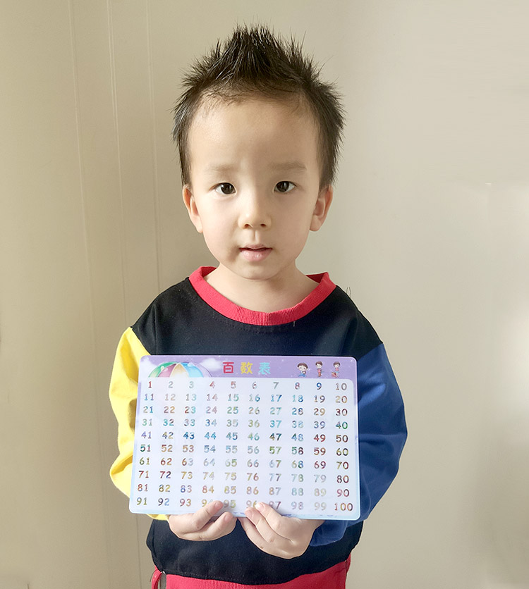 百数表儿童幼儿1-100内认识数字启蒙早教数字认识100以内识数卡片 - 图0