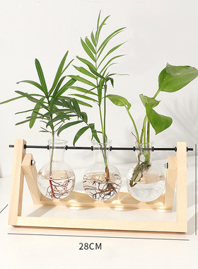 创意桌面水培植物ins玻璃