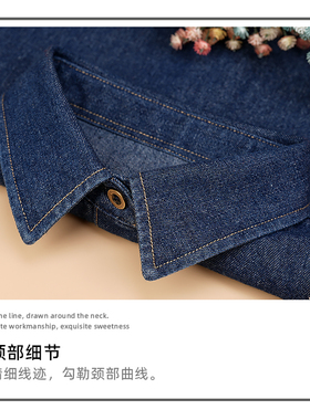 牛仔假领子衬衫女秋冬百搭