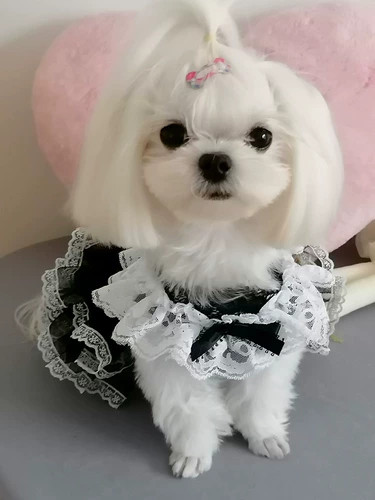 Наряд маленькой принцессы, тонкая летняя одежда, юбка, юбка-пачка