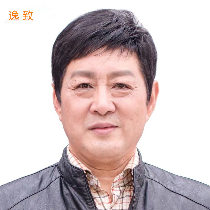 假发男真人发丝男士假发帅气逼真爸爸假发套中老年男假发自然短发