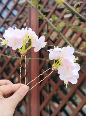 原创绣球花朵簪花掩鬓发饰汉服唐装古装发簪u钗头饰古风花簪子