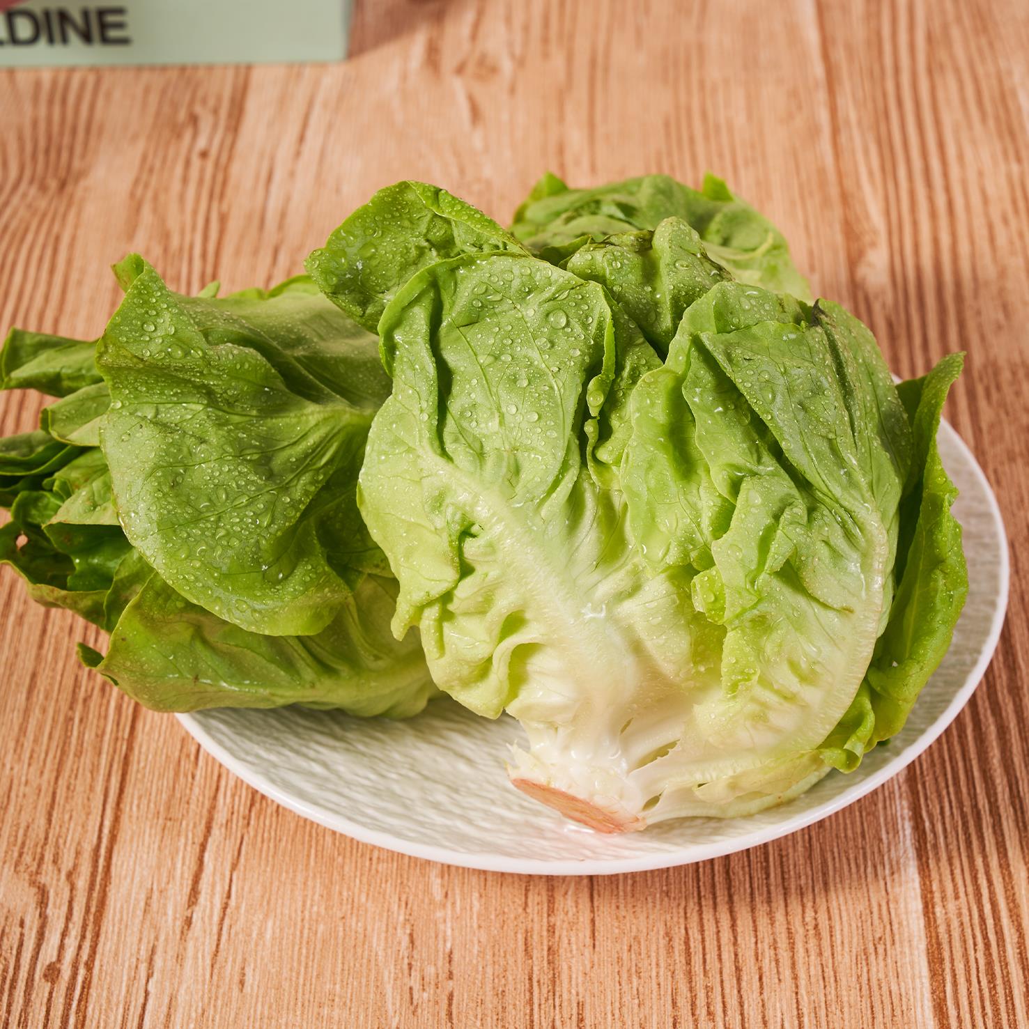 新鲜营养奶油生菜沙拉蔬菜叶脆嫩口感500g即食西餐厅色拉简餐食材 - 图2