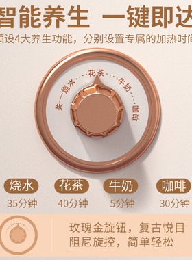 金灶迷你玻璃养生壶多功能