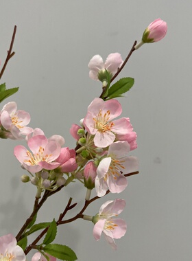 清新仿真苹果花桌面花艺插花