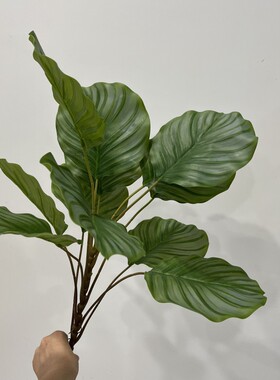 仿真青苹叶把束苹果叶单颗小绿植室内造景装饰植物盆栽竹芋北欧风