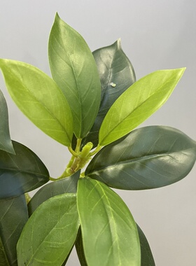 仿真小榕叶发财叶茉莉叶灰莉树枝假树制作插花装饰小植物
