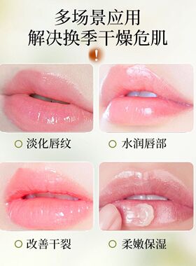澳楠进口乳木果日夜淡纹唇膜补水保湿滋润淡化唇纹唇部护理润唇膏