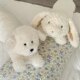 Nordic Blue Cat Strip Pillow Girls Couple Sleeping Cushion