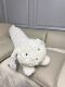 Nordic Blue Cat Strip Pillow Girls Couple Sleeping Cushion