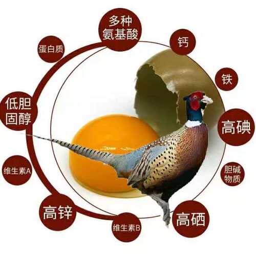 野鸡蛋七彩山鸡蛋农村自养食用营养宝宝辅食蛋新鲜当天捡鸡蛋一箱 - 图0